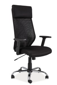 _DSC1000 Q-211 black.jpg